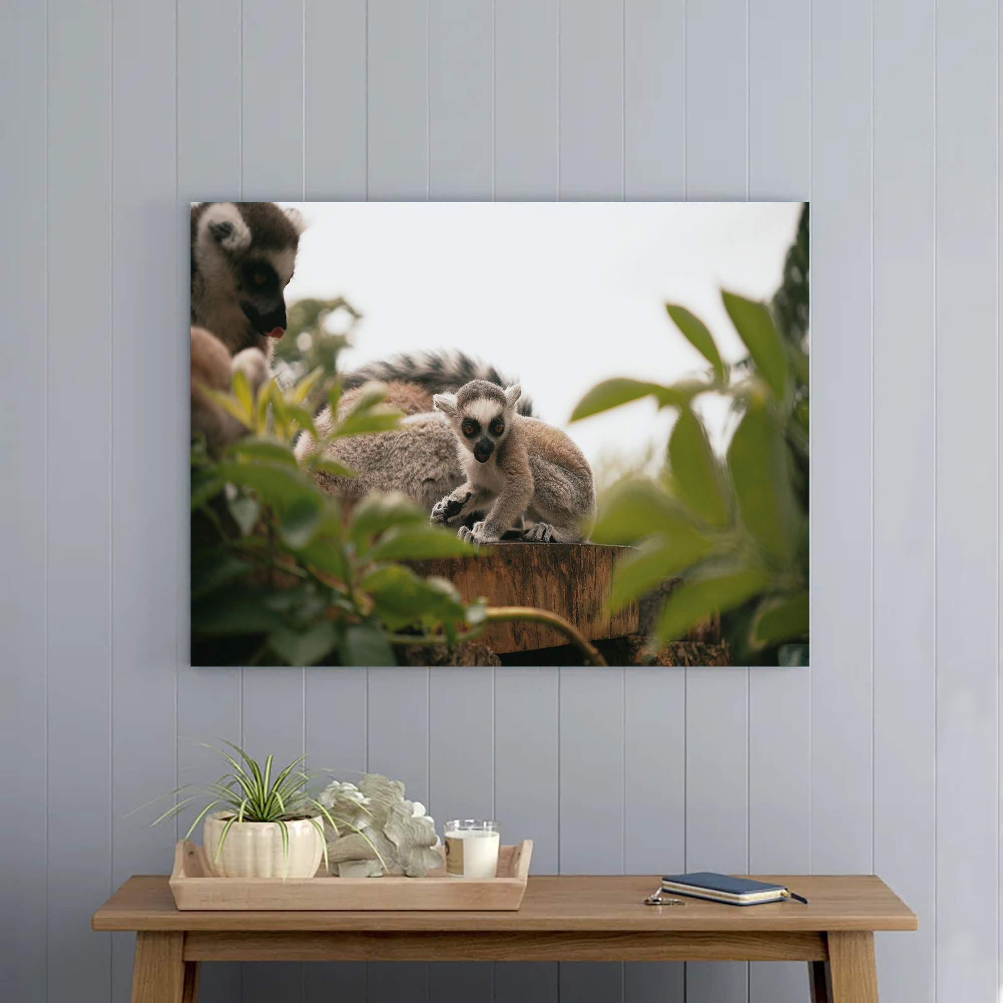 Curated visual reference: Ebern Designs Lemurs On Wood Photo Inspiration