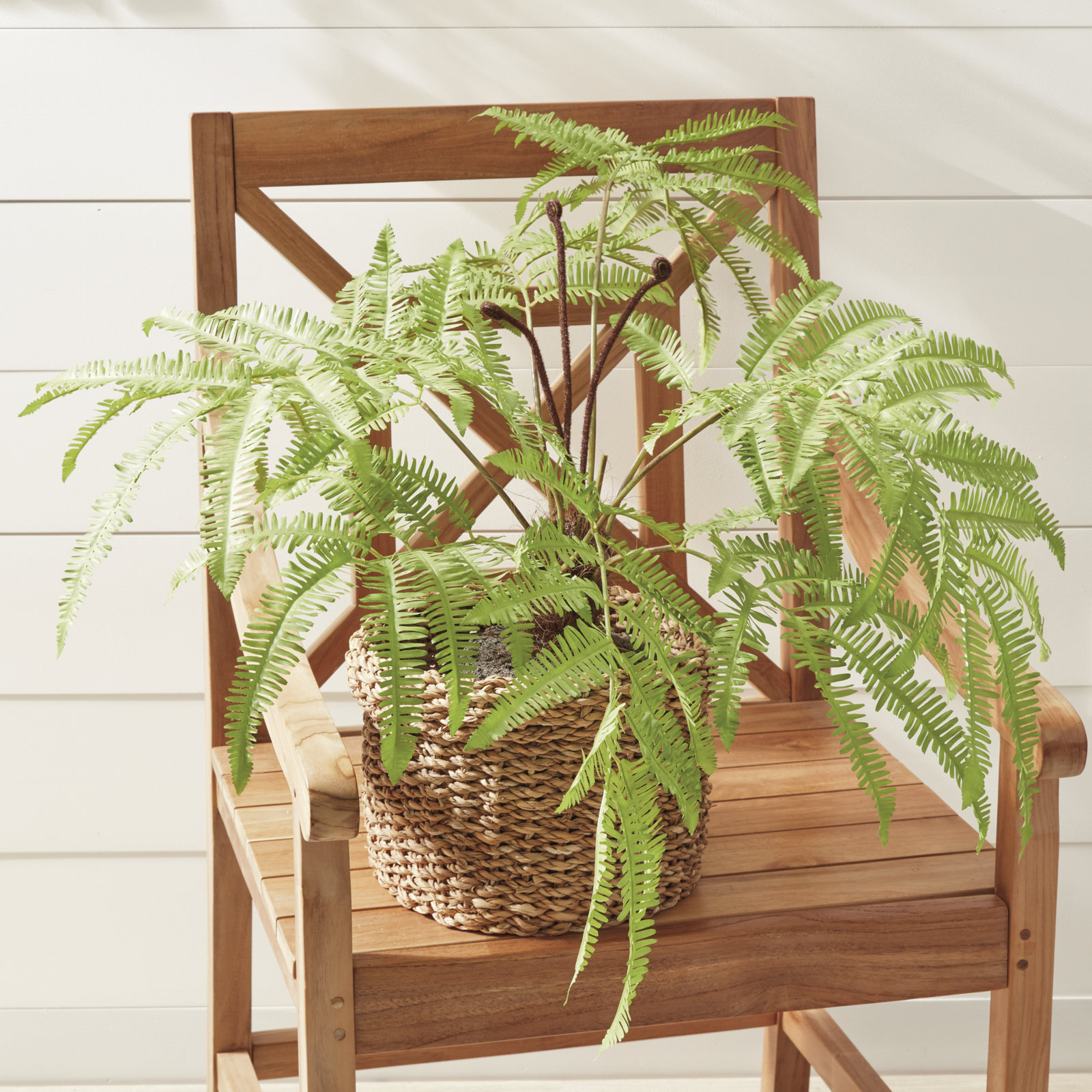 Georgia 30" Fern Plant, 29.5" H x 6.5" W x 7" D