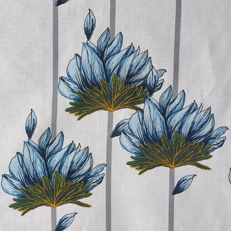 LOTUS-SIERRA, Blue Oyster