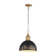 Luminaire suspendu 1 lumière Regena