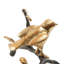 Uccello Handmade Animals and Plants & Flowers Decorative Object