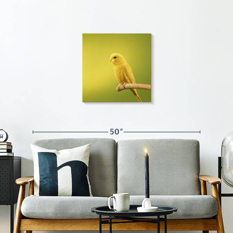 Brampt Perched Yellow Parakeet, 20" H x 20" W