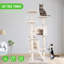 Tour pour arbre à chat Derrell-557840563-586387005