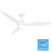 Surea 52'' Ceiling Fan with LED Lights-112461113