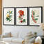 Turpin Tropical Botanicals VI - reproduction sur mesure encadrée de qualité supérieure - 3 pièces-1603302473-1603302475