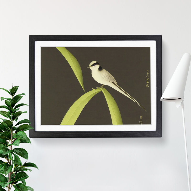 Fierce Swallow Bird - Single Picture Frame Print, 46cm H x 64cm W x 2cm D, Black Framed