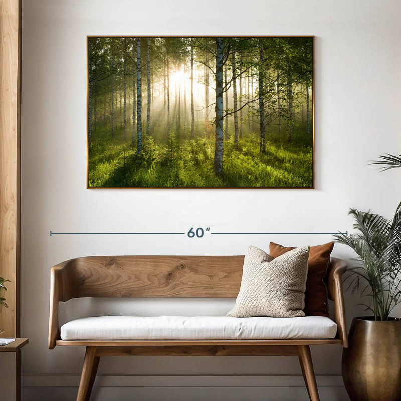 Birch Forest Sunlight, 46 po x 31 po, Cadre flottant doré