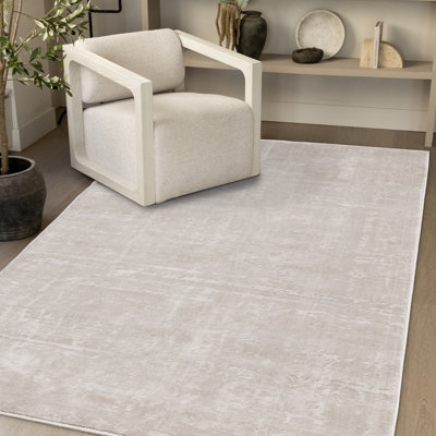 Dieguez Light Gray Cream Tonal Rug