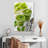 Yarlin Smoothies For Two-108473585