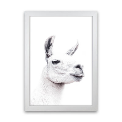 Llama I by Victoria Frost - Print