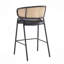 Tabouret de bar d'intérieur revêtu de métal, siège en similicuir avec dossier en rotin Wowen, ensemble de 2