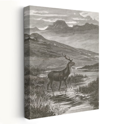 Vintage Stag - Animal Black And White Book Deer Art