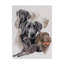 «Weimaraner and Ghost» par Adelphi, reproduction de peinture à l'huile sur toile tendue-26112360
