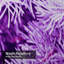 Rideau de douche violet 12 branches-170049857