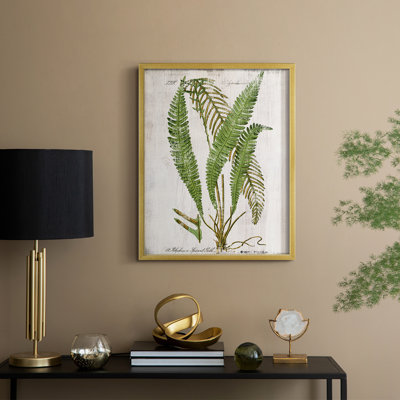 Greenhouse Fern I Framed Print - Solid Wood