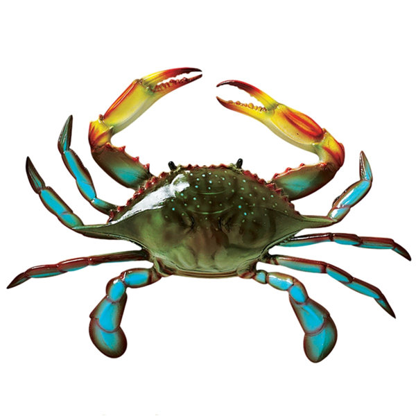 Crab Decor Wayfair