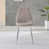 Beige cappuccino / argent