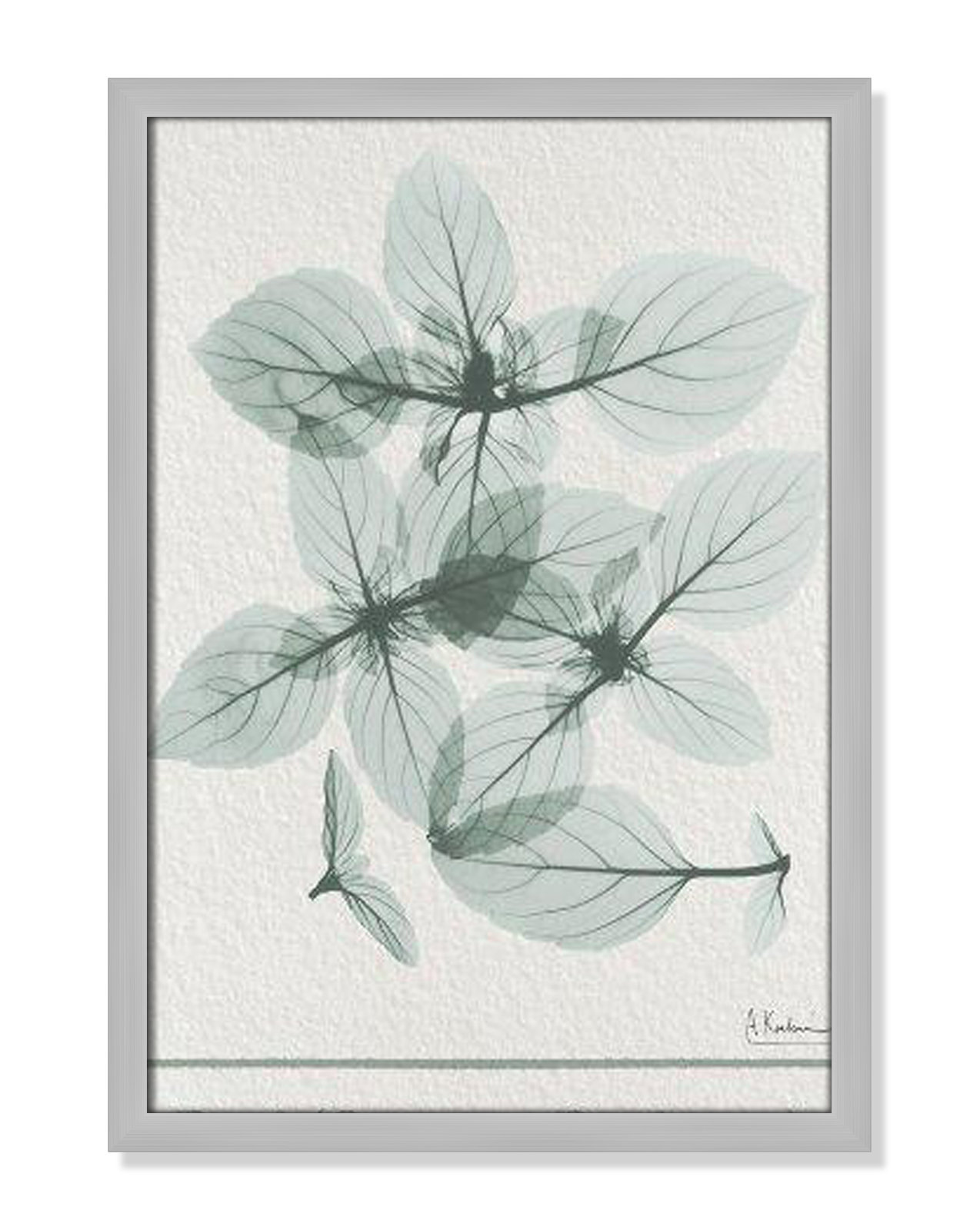 Jeanette "Basil Ocimum Basilicum" Painting, 23" H x 17" W x 1.25" D, Matte Silver Framed Paper