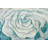 Kishore Performance Floral Indoor Rug-347030492
