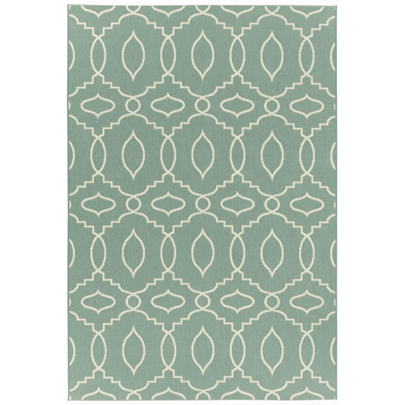 Oriental Indoor / Outdoor Rug, Rectangle 3'11" x 5'6"