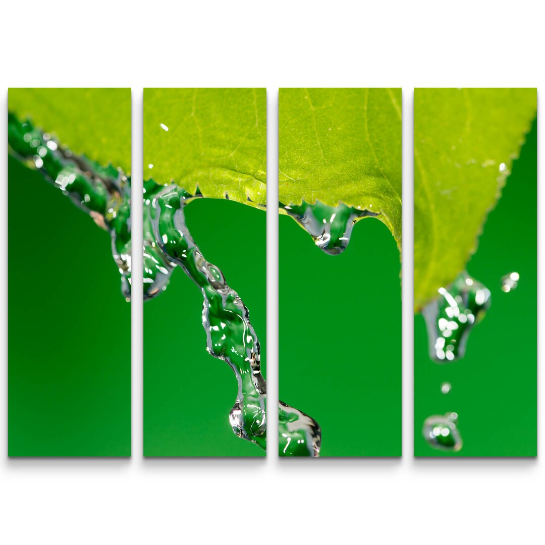 4-tlg. Leinwandbilder-Set Blatt mit Wasser