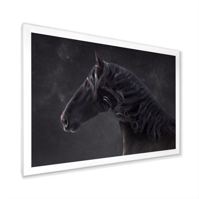 " Portrait Of Andalusian Horse "