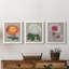 Chrysanthemum On Grey I - Ensemble de 3 peintures sur toile encadrées-431737096-431737099