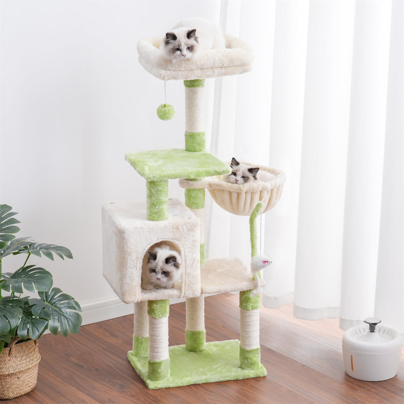 Arbre à chat Evola, H 43,31 po x l 12,6 po x L 17,32 po, Vert / beige