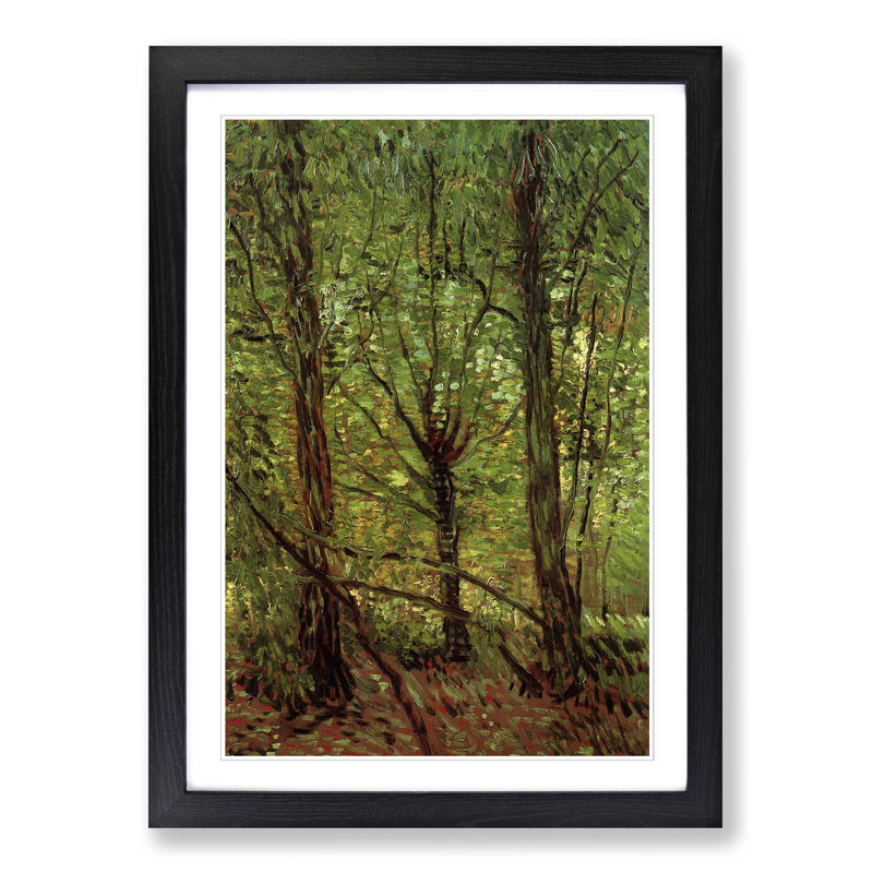 Trees and Undergrowth by Vincent Van Gogh - Framed Print, Black