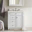 Bristol 30'' W Single Vanity-1799863369-1847095263-1799863370