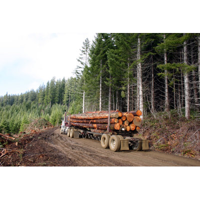 Logging Truck With Load by Darinburt - Wrapped Canvas Print