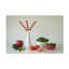 Art sur toile Jacqueline Hammer Salad Time-638227753