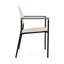 Chaise d'invité Chat Chat-98671418-98881974