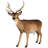 Forest Tailed Buck Male Deer Statue