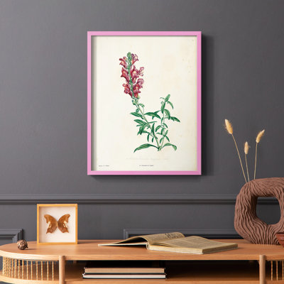 «Traditional Botanical I», reproduction encadrée - bois massif
