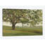 « sagesse grossies », reproduction d’impression sur toile-29040079-72793094-72793099