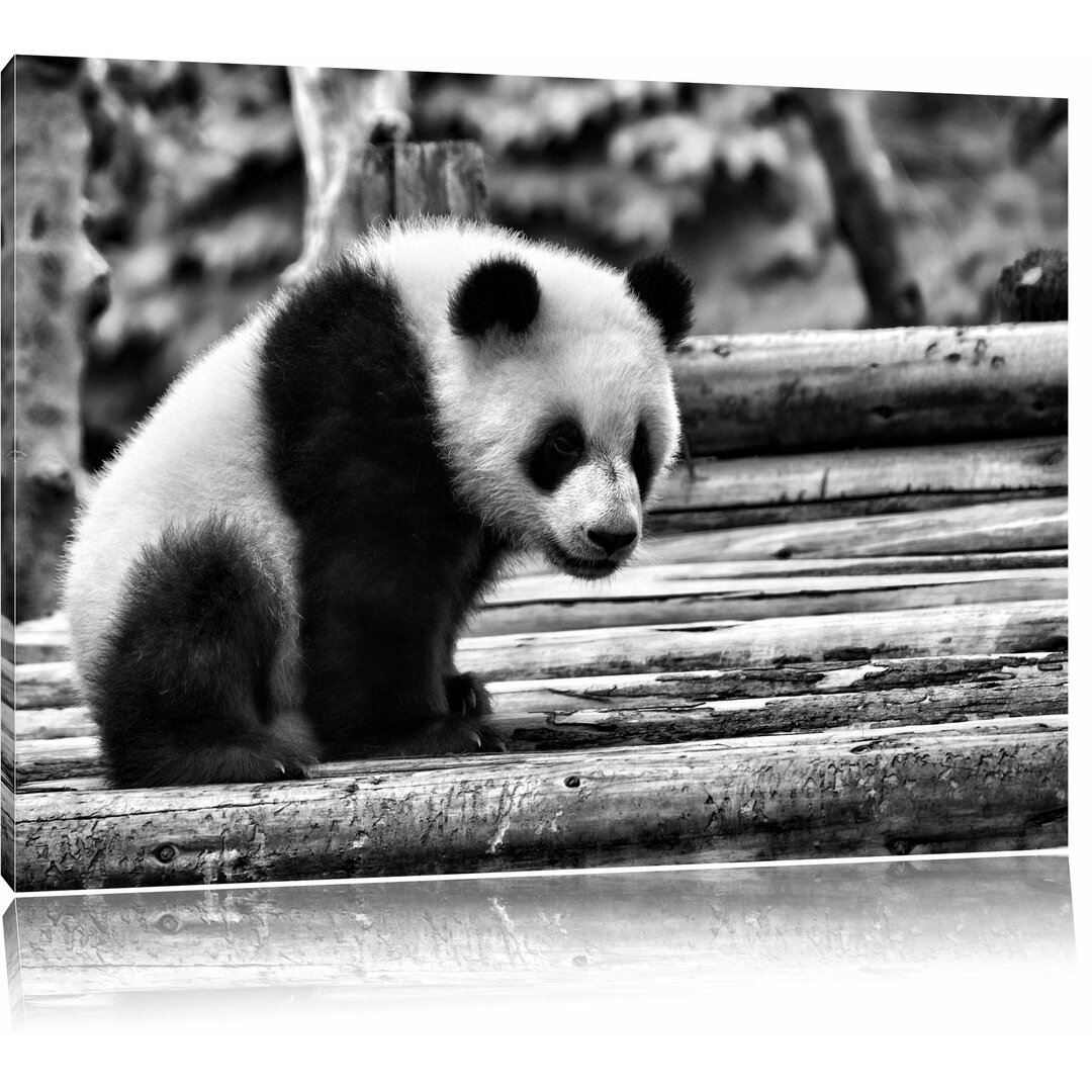 Leinwandbild Niedlicher junger Panda auf Holzstämmen in Monochrom