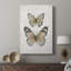 Papillons rétro I - galerie Cavas-302351401