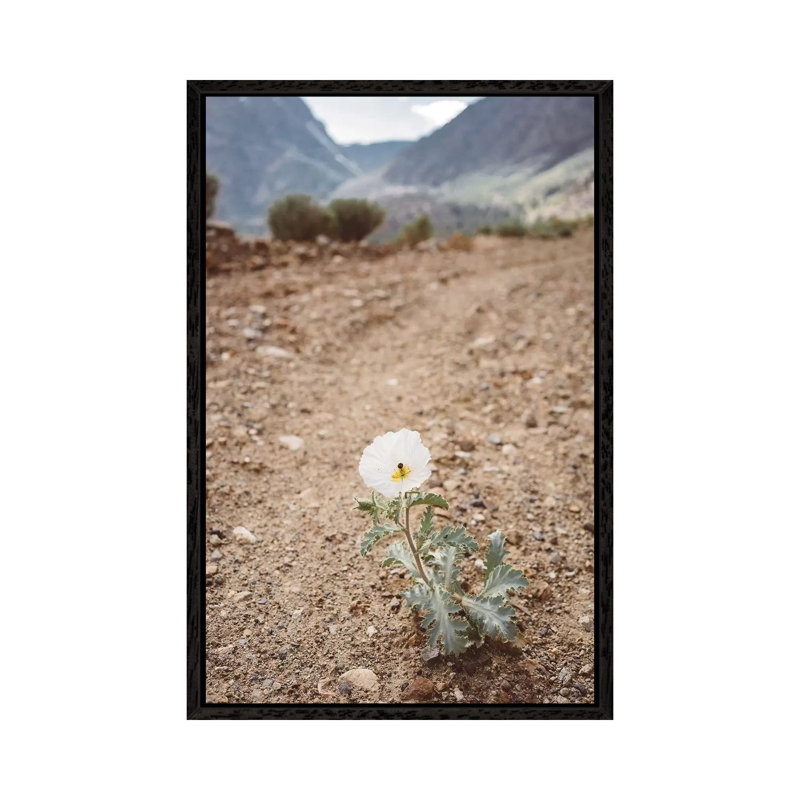 Yosemite Bloom by Bethany Young - Print on Canvas, 66.04cm H x 45.72cm W x 3.81cm D, Black Framed