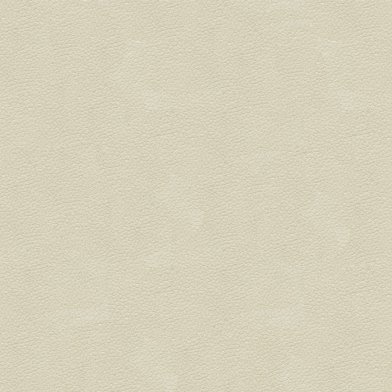 Fabric, Ivory