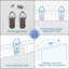 Coastal Reed By The Beach Relaxing Calm Neutre-105081676-105111783-111665757