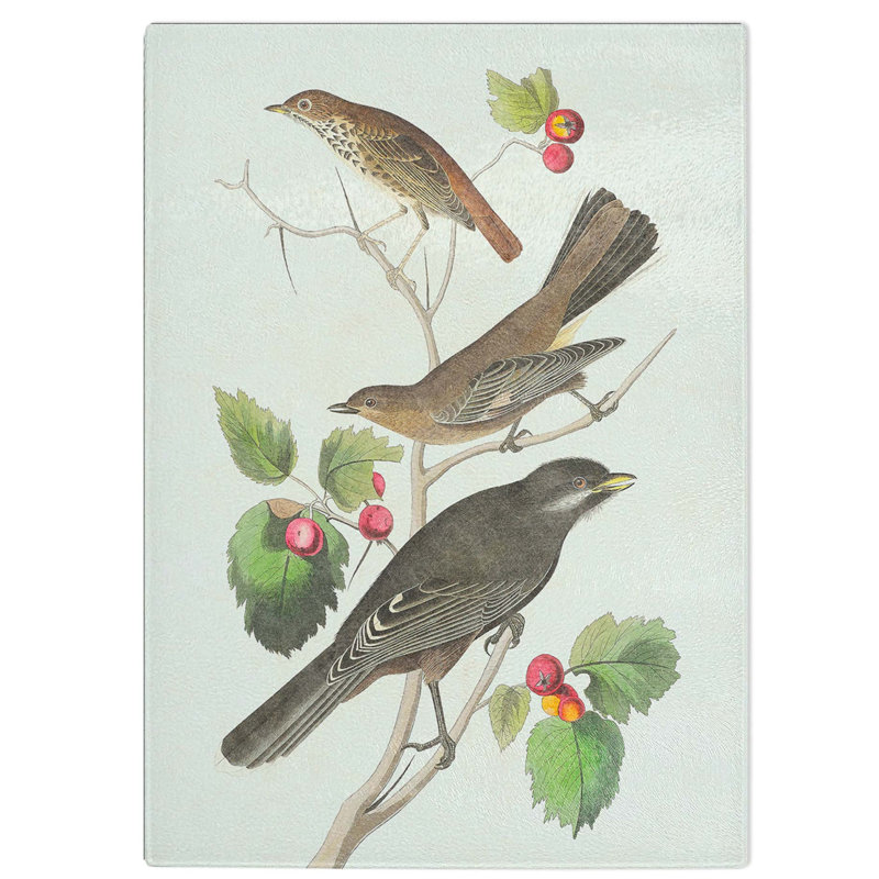 Tempered Glass Selection of Birds by John James Audubon Chopping Board, 28.5 cm W x 39 cm L