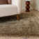 Taiwo Shaggy Natural Area Rug