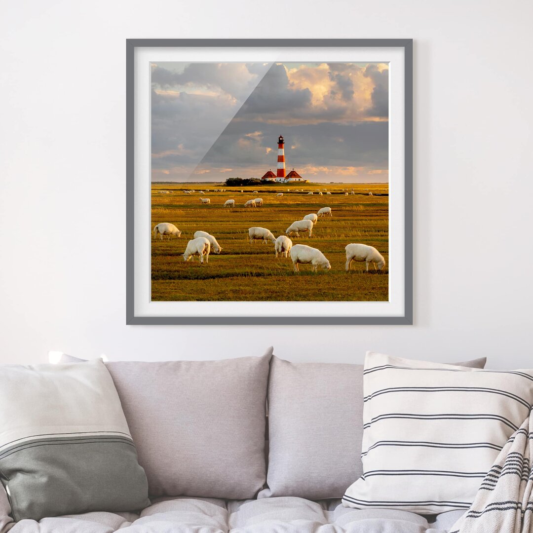 Gerahmtes Poster Nordsee-Leuchtturm mit Schafherde