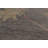 Vegetable Dye Oushak Turkish Large Rug 10