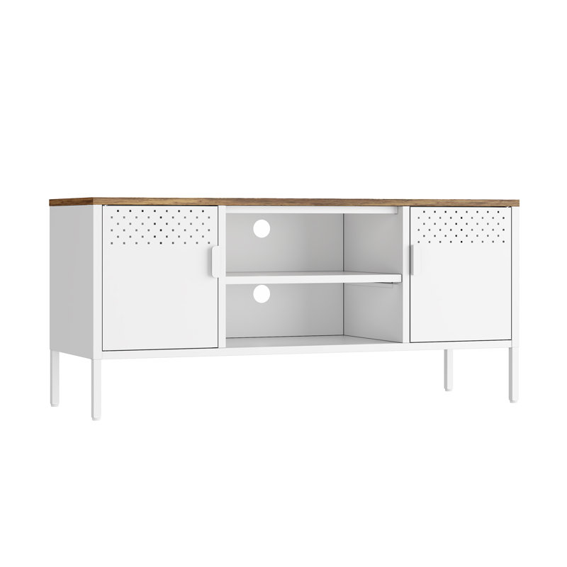 Landen 47 TV Stand with 6 Fixed Shelves, White