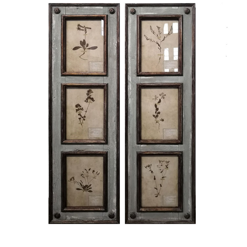 Rustic Botanical Collection Framed Wall Art - Set of 2