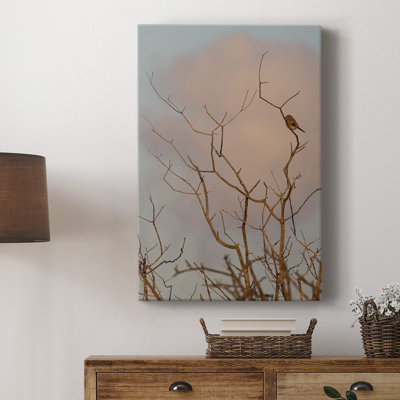 " At Dawn "