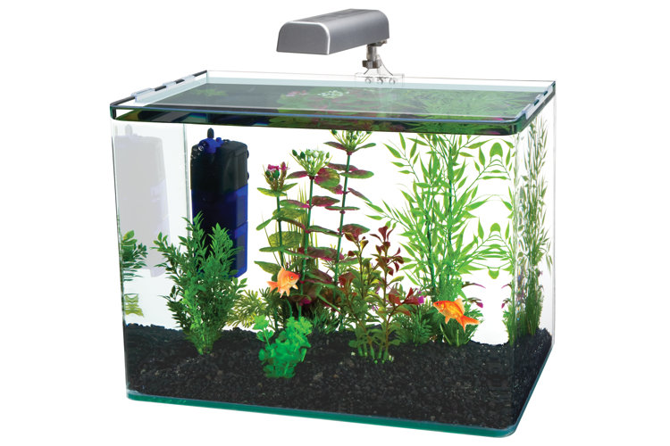 Betta Fish Tank, 360 Aquarium with LED Light, 1 Gallon Fish Bowl