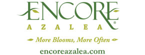Encore Azalea Logo